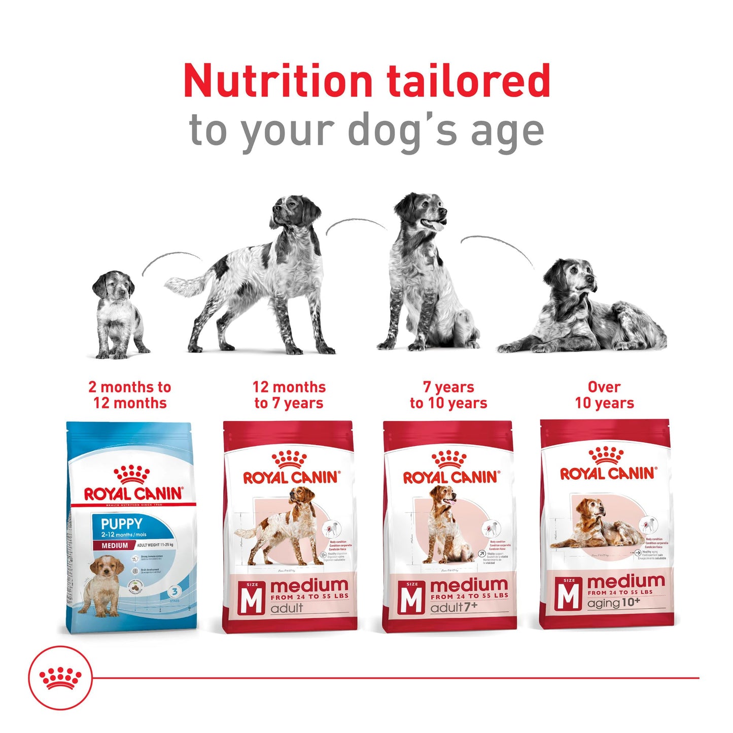 Royal Canin Size Health Nutrition Medium Adult Dry Dog Food, 4 lb Bag