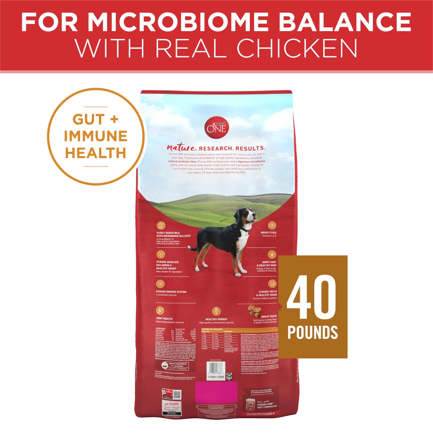 Purina ONE Dry Dog Food Lamb and Rice Formula - 40 lb. Bag