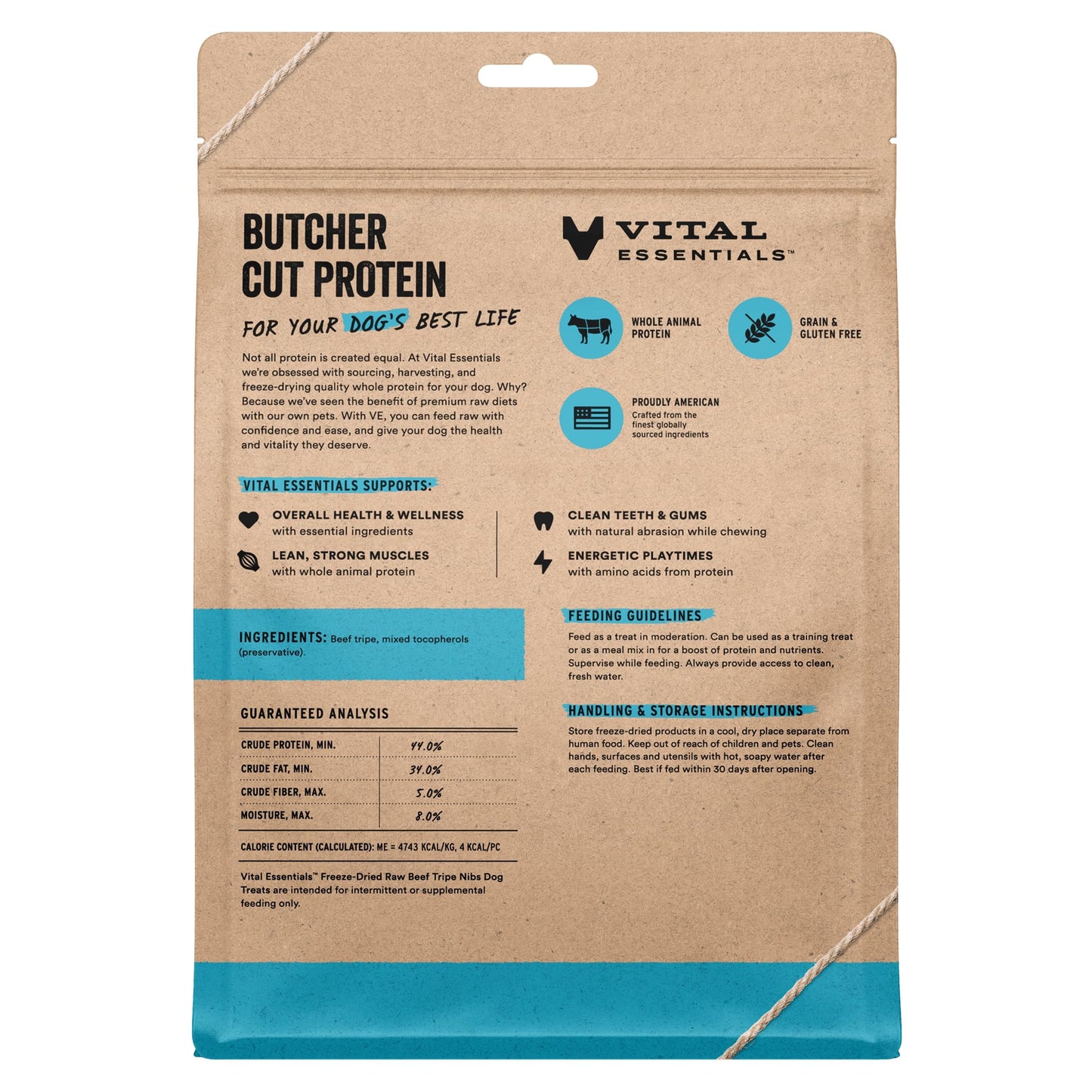 Vital Essentials Freeze Dried Dog Treats | Salmon Bites, Single Protein | Premium Quality | Grain Free Training Treats for Dogs, 2.5 oz Bag