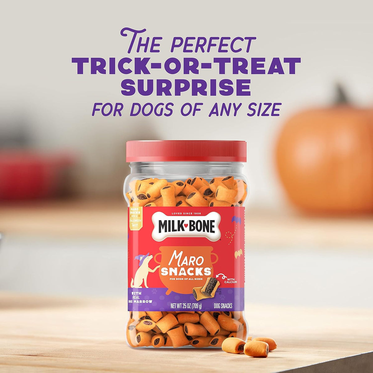 Milk-Bone Spooky Biscuits, Halloween Dog Treats, 24 Oz. Pail