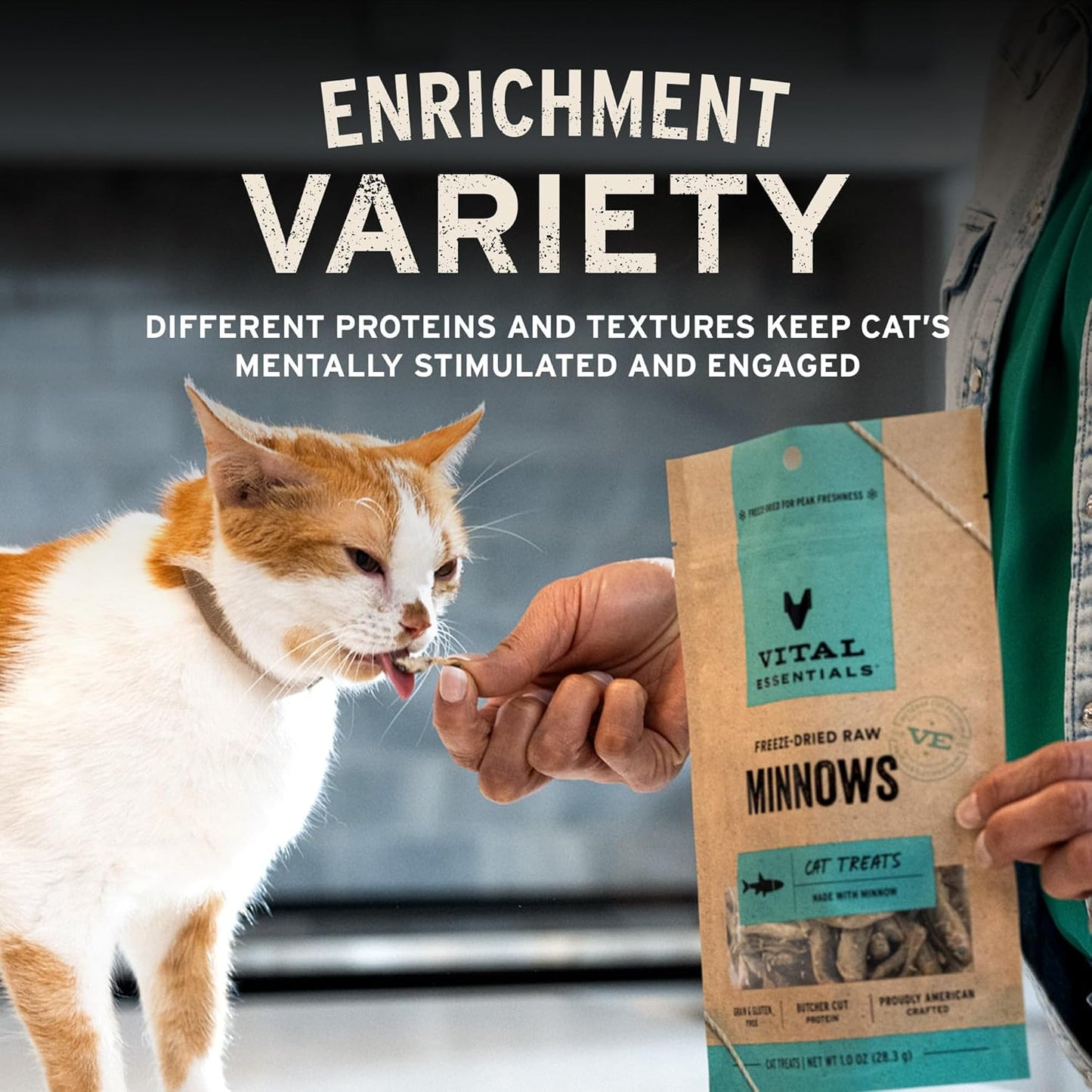Vital Essentials Freeze Dried Cat Treats | Duck Liver, Single Ingredient | Premium Quality | Grain Free, Healthy Treats for Cats, 0.9 oz Bag