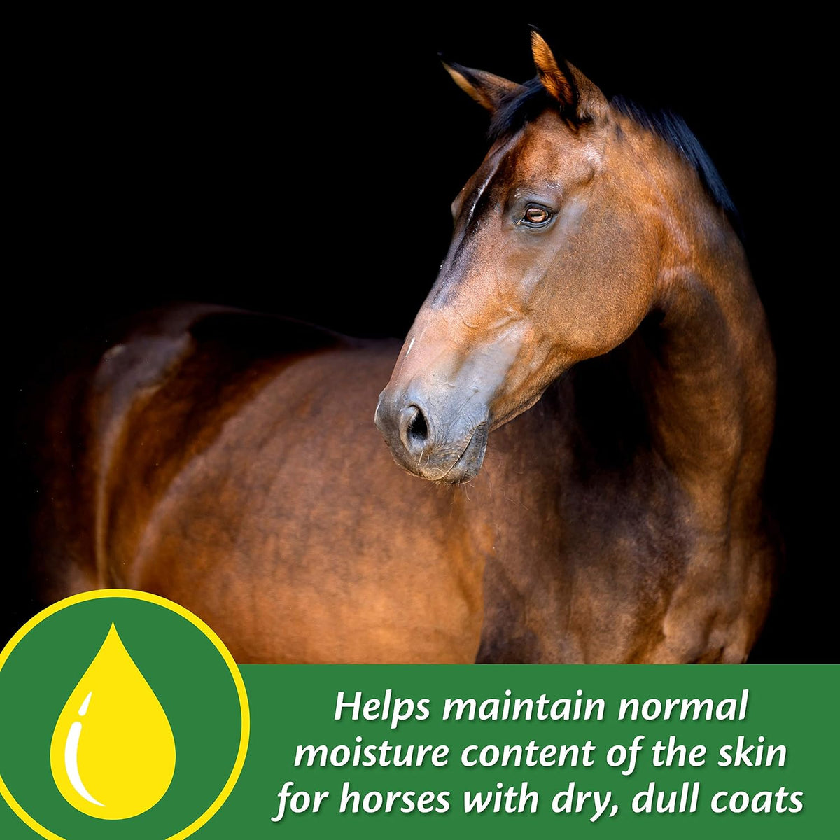 Farnam Super 14 Healthy Skin & Coat Supplement for Horses, Keeps Coats Shiny & Gleaming Year-Round 5 Pound, 80 Day Supply