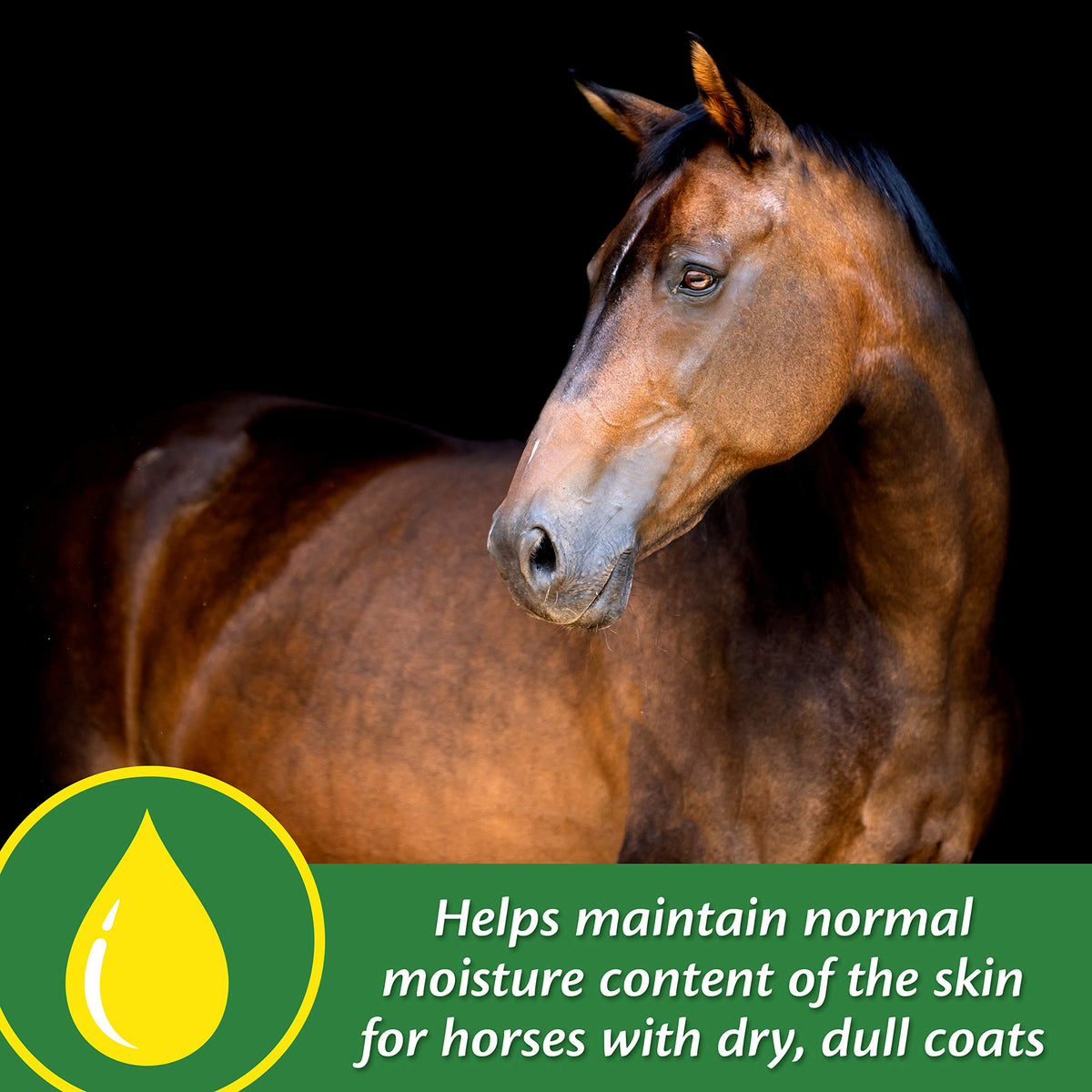Farnam Super 14 Healthy Skin & Coat Supplement for Horses, Keeps Coats Shiny & Gleaming Year-Round 5 Pound, 80 Day Supply
