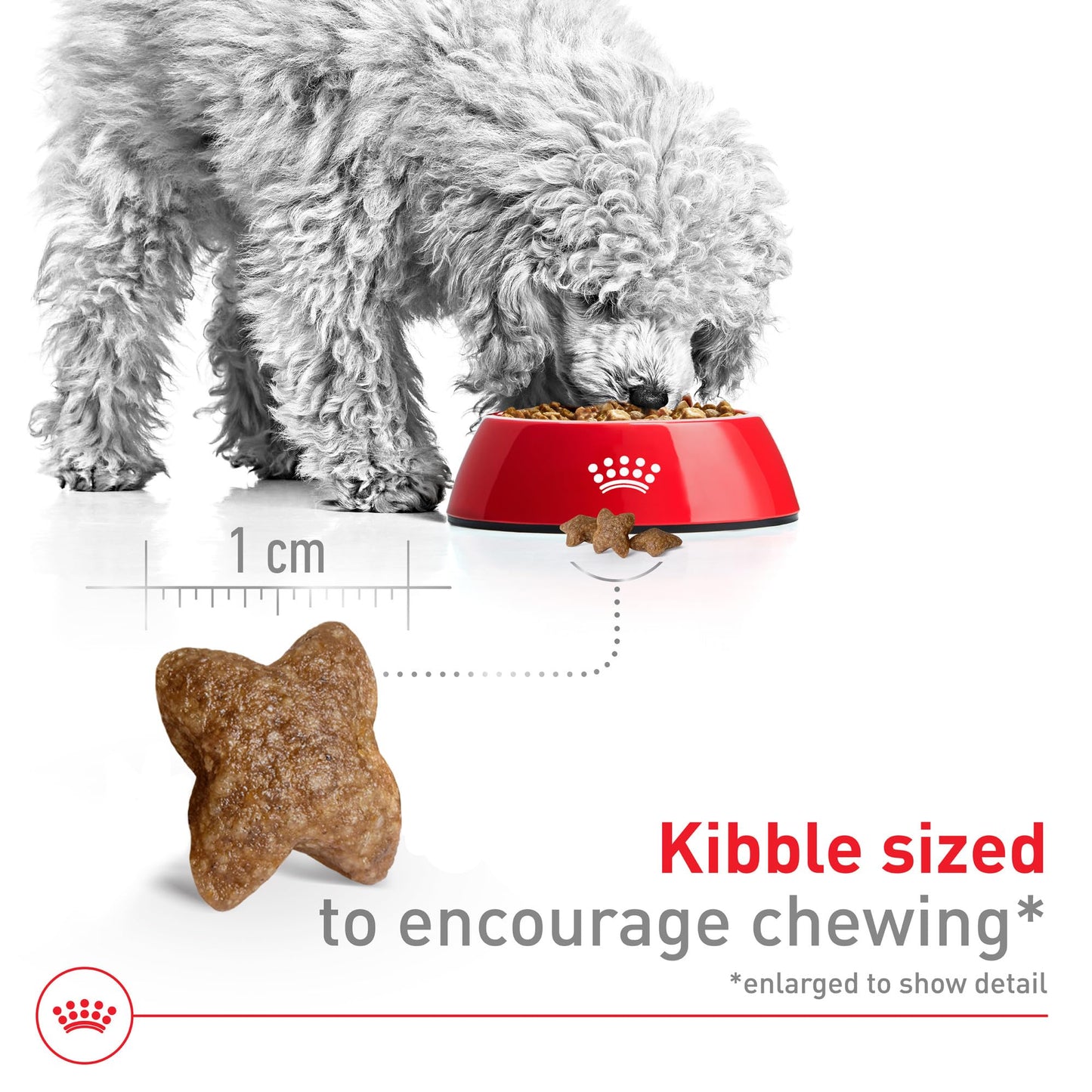 Royal Canin Size Health Nutrition Small Adult Dry Dog Food, 4 lb Bag