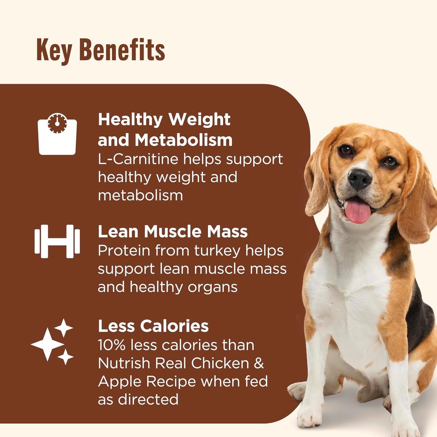 Nutrish Real Beef & Pumpkin Recipe Whole Health Blend Premium Paté Wet Dog Food, 13 oz. Can, 12 Count, Packaging May Vary (Rachael Ray)