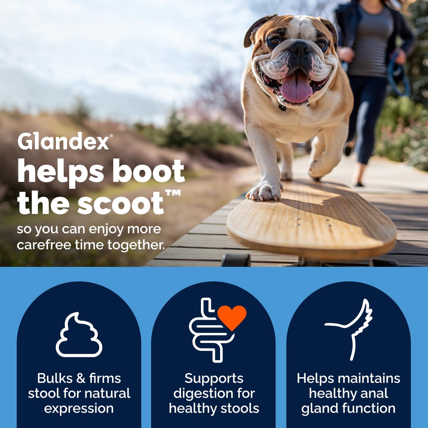 Vetnique Glandex Anal Gland Soft Chew Treats with Pumpkin for Dogs Digestive Enzymes, Probiotics Fiber Supplement for Dogs Boot the Scoot (30ct, Peanut Butter Chews)