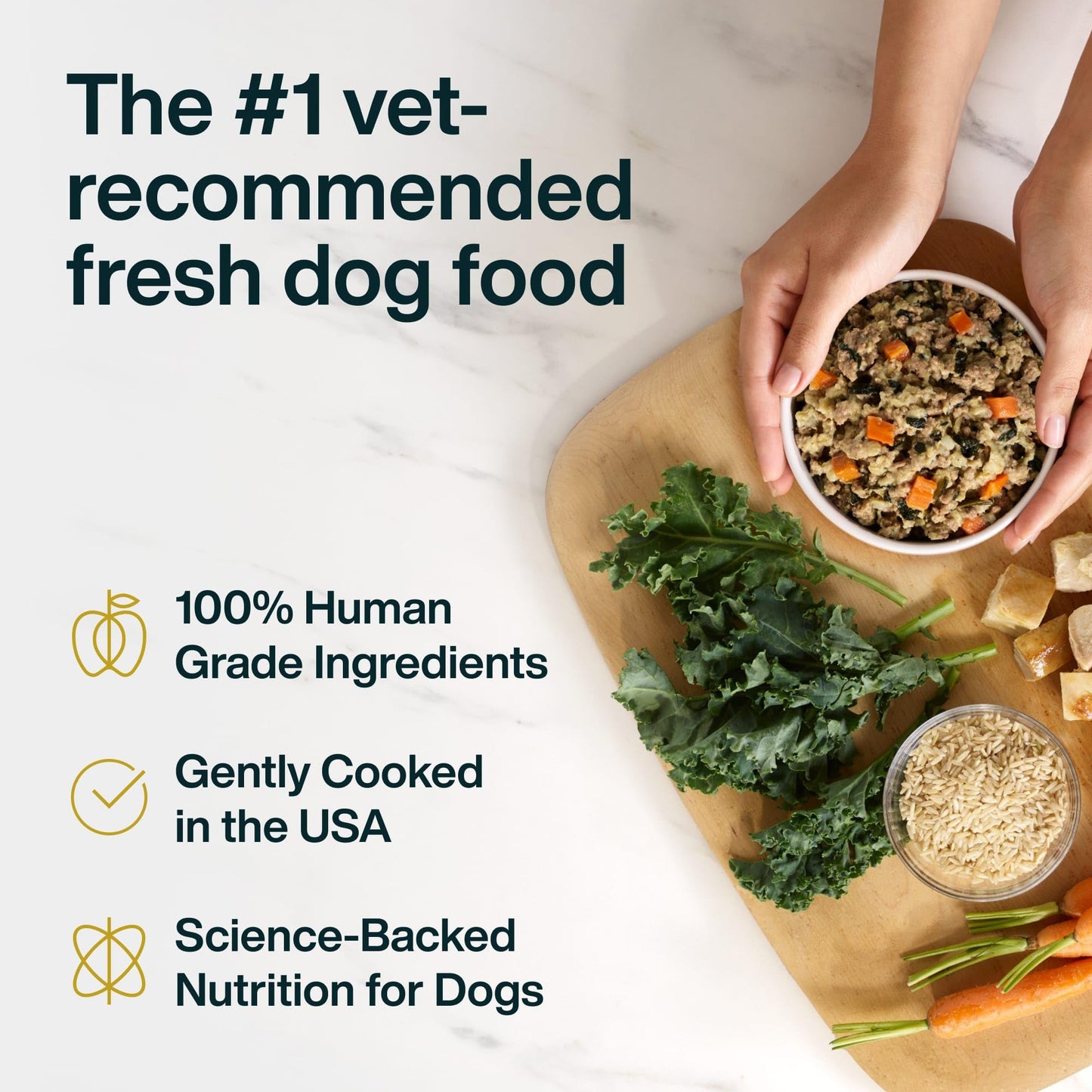 JustFoodForDogs JustFresh Wet Dog Food, Fresh Pet Meals and Toppers with No Preservatives, Resealable Package, Human Grade, Home-Cooked Chicken, 12 oz - 7 Pack