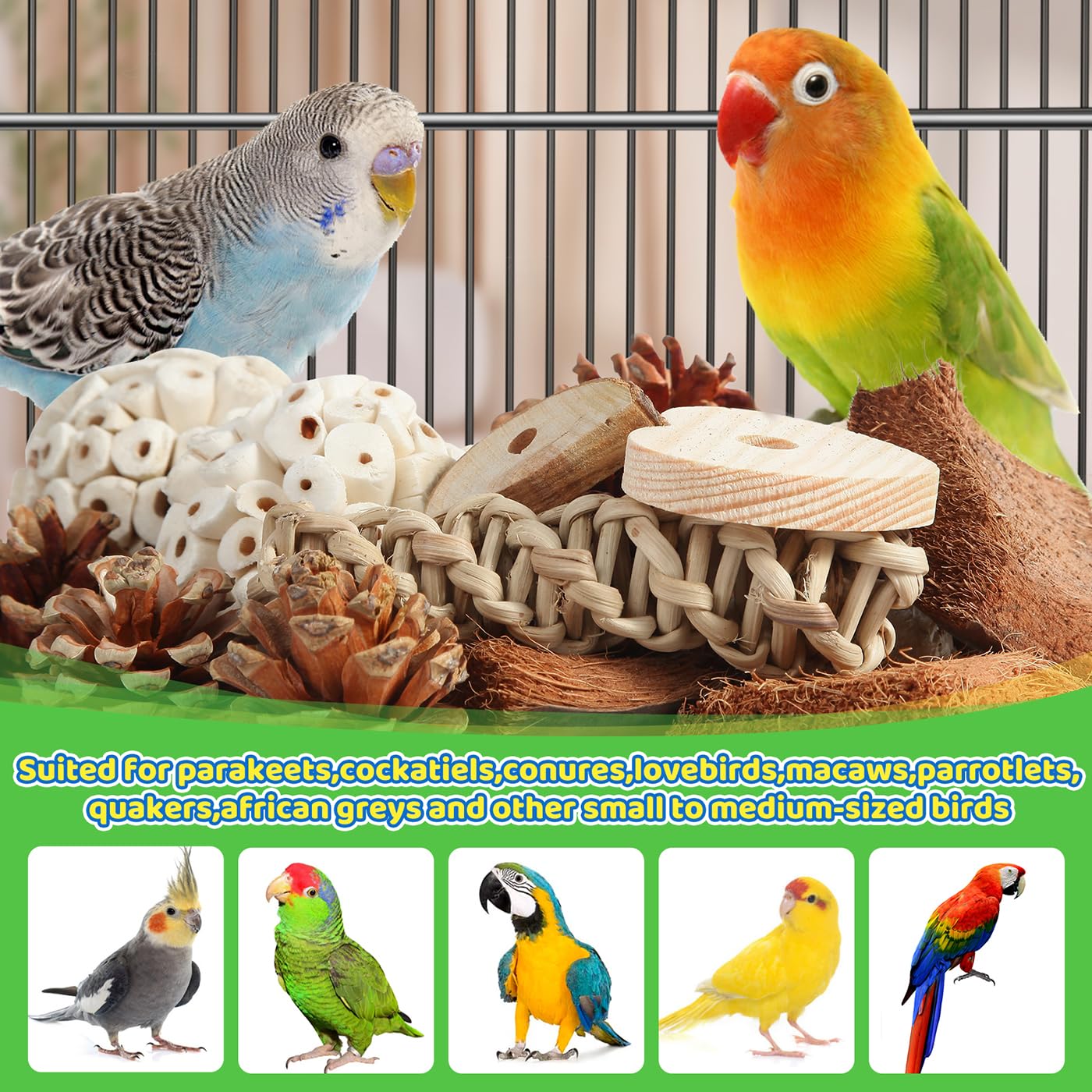 Kyouki Bird Toys Parrot Toys Natural Bird Foraging Box Foot for Parakeets,Cockatiels,Conures,Love Birds,and Other Small to Medium Birds (Medium)