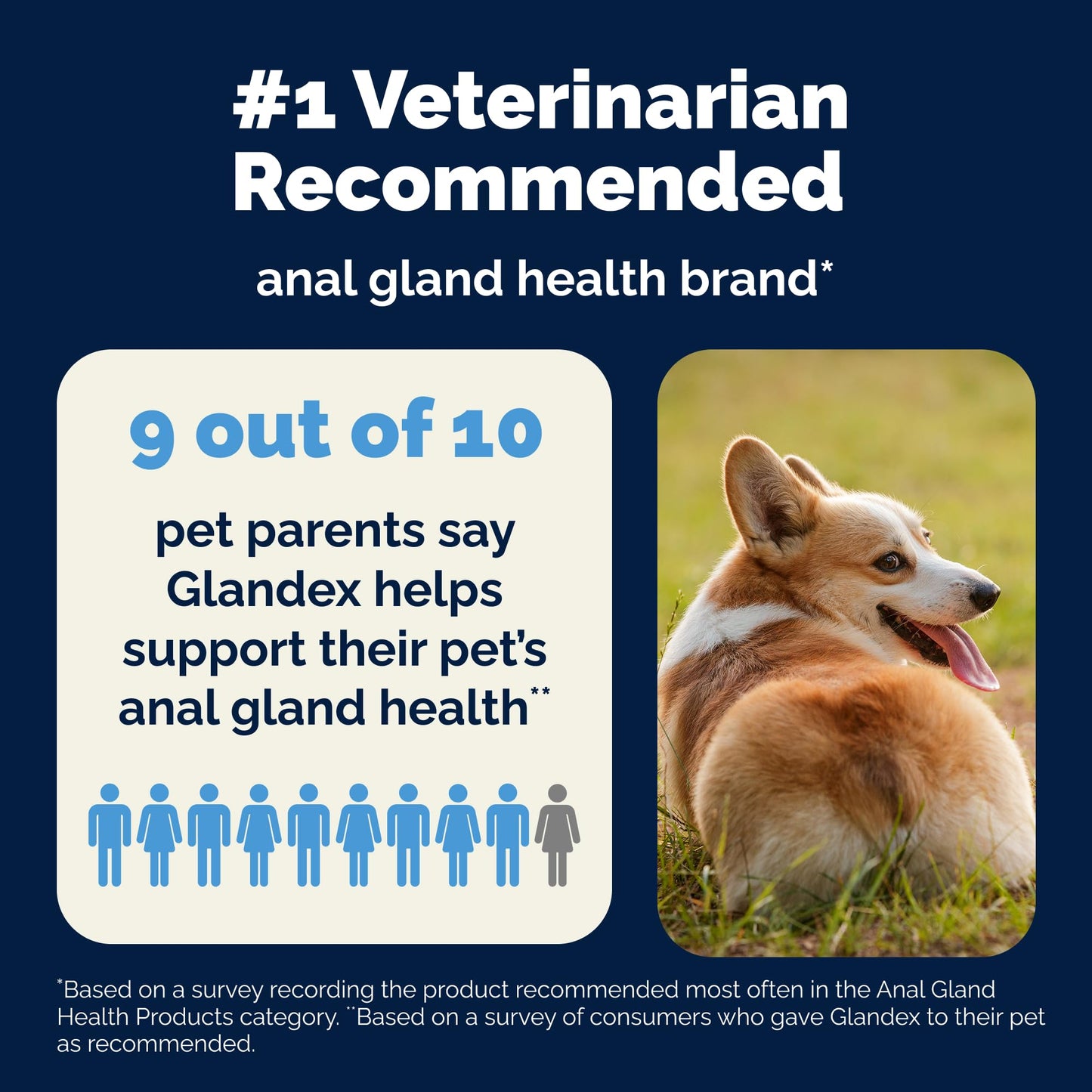 Vetnique Glandex Anal Gland Soft Chew Treats with Pumpkin for Dogs Digestive Enzymes, Probiotics Fiber Supplement for Dogs Boot the Scoot (30ct, Peanut Butter Chews)