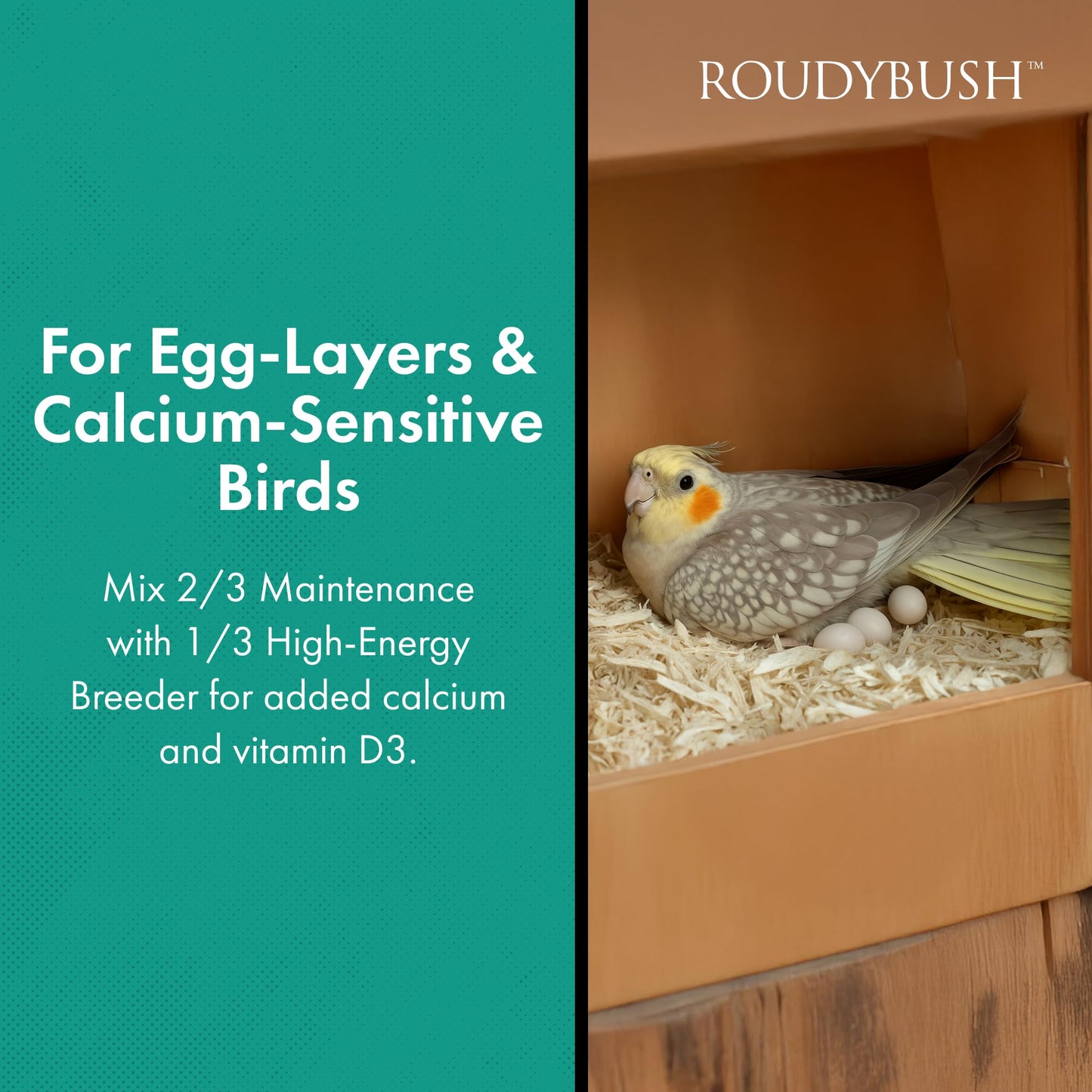 RoudyBush Daily Maintenance Food for Birds, Bird Food with Corn, Wheat & Soy, Complete Daily Feed for Parakeets, Cockatiels, Conures, Lovebirds & Other Small Medium Species, Crumble Pellets, 8 OZ