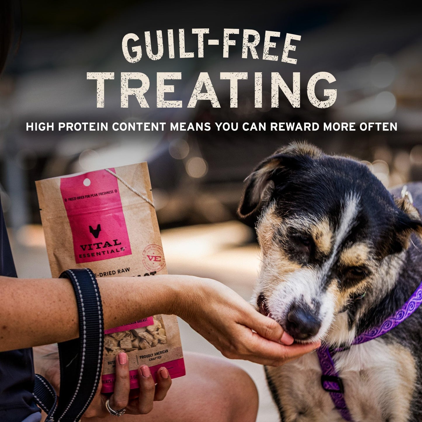Vital Essentials Freeze Dried Dog Treats | Salmon Bites, Single Protein | Premium Quality | Grain Free Training Treats for Dogs, 2.5 oz Bag