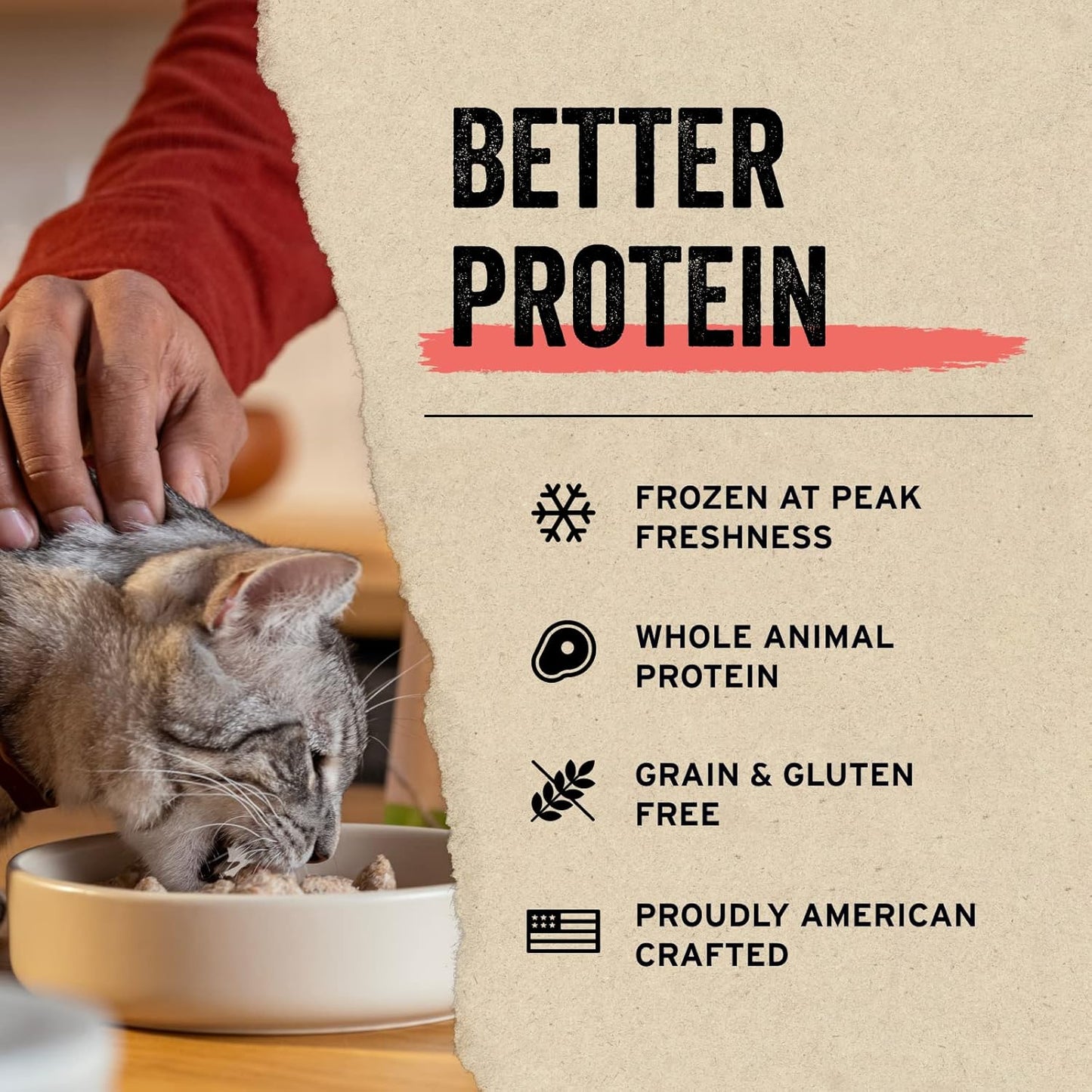 Vital Essentials Freeze Dried Minnows Cat Treats | Single Ingredient | Premium Quality | Grain Free, Healthy Treats for Cats, 1 oz Bag