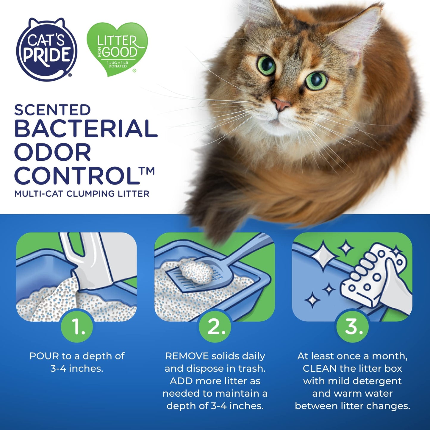 Cat's Pride Max Power: Total Odor Control - Up to 10 Days of Powerful Odor Control - Strong Clumping - 99% Dust Free - Multi-Cat Litter, Scented, 15 Pounds