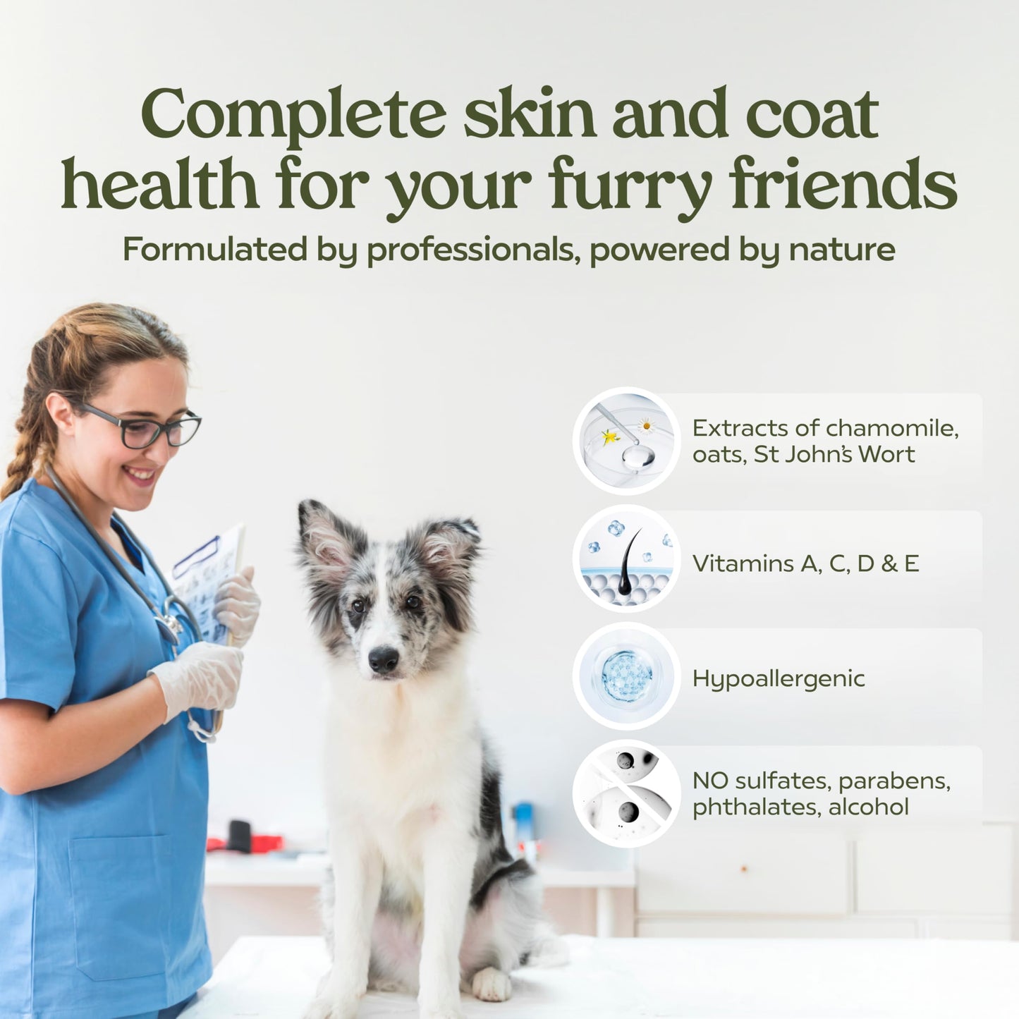 PAWFUME Deshedding Dog Shampoo and Conditioner, Show Dog, 1-Pack – Nourish & Detangle for Silky Soft Coat – Probiotic, Deep-Cleaning, pH-Balanced Formula – Salon-Quality Shampoo for Dogs