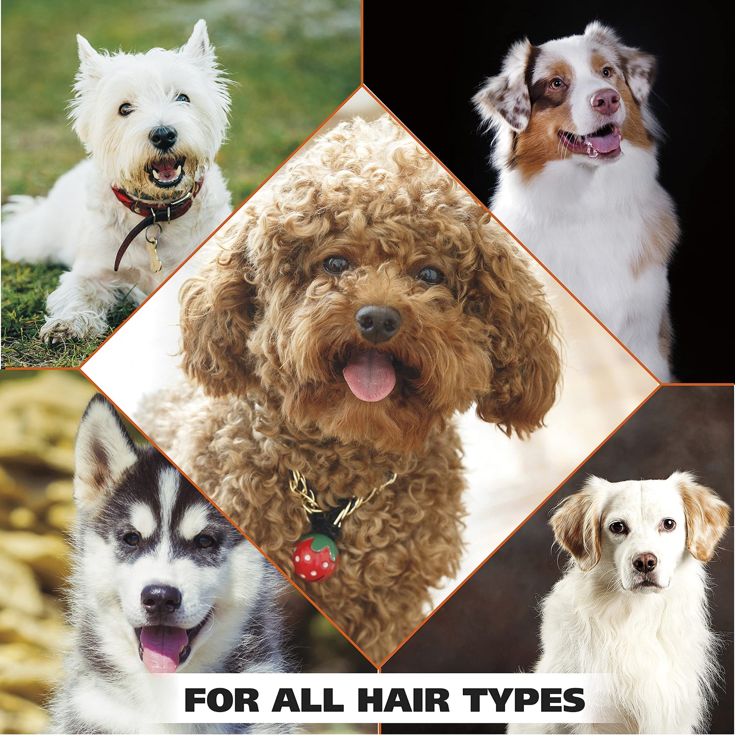 Wahl USA Dry Skin & Itch Relief Pet Shampoo for Dogs – Oatmeal Formula with Coconut Lime Verbena Scent & Pet Friendly Formula, 24 Oz - Model 820004A