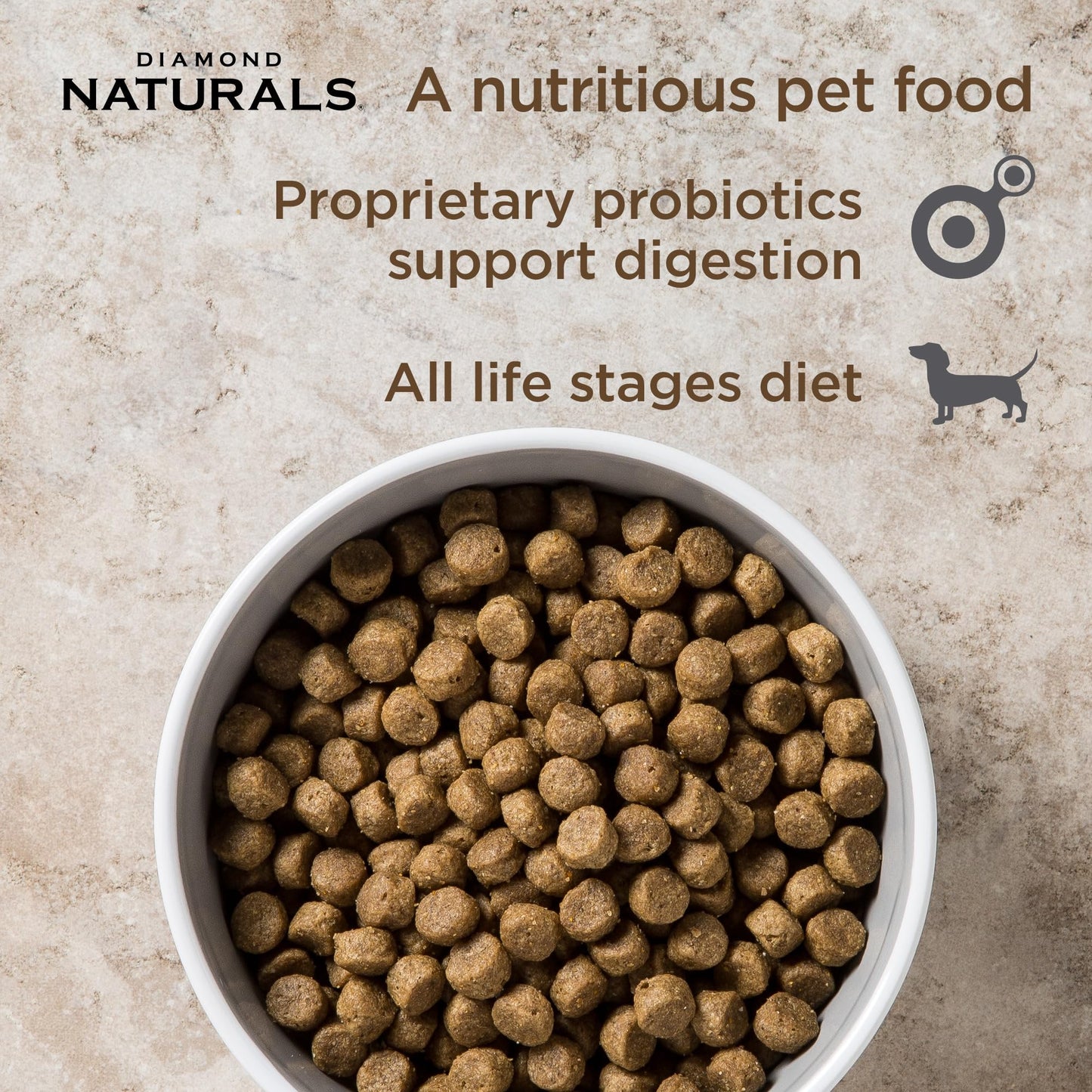 Diamond Naturals Skin & Coat Real Salmon and Potato Recipe Dry Dog Food with Quality Protein, Omega Fatty Acids, Probiotics and Essential Nutrients to Promote Healthy Skin and Coat 30lb