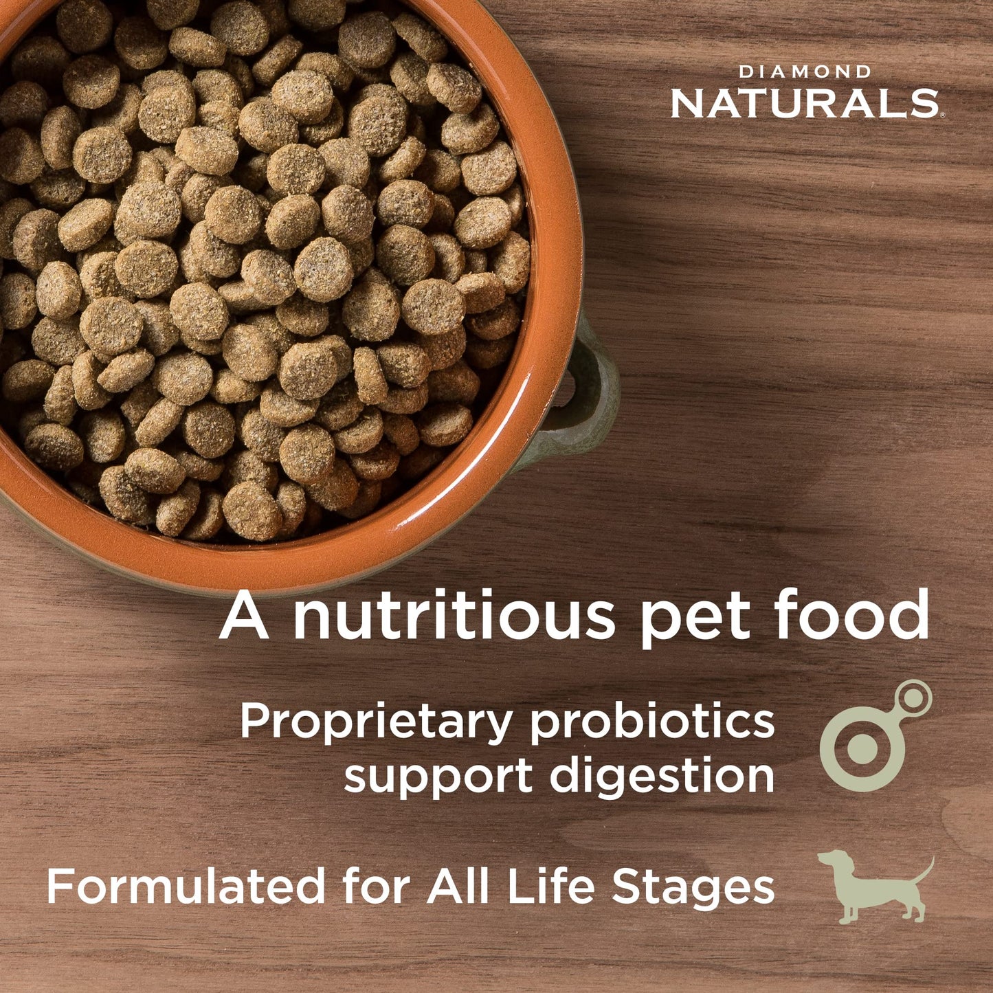 Diamond Naturals Skin & Coat Real Salmon and Potato Recipe Dry Dog Food with Quality Protein, Omega Fatty Acids, Probiotics and Essential Nutrients to Promote Healthy Skin and Coat 30lb