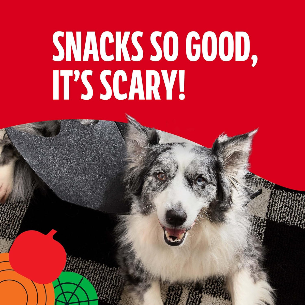 Milk-Bone Spooky Biscuits, Halloween Dog Treats, 24 Oz. Pail