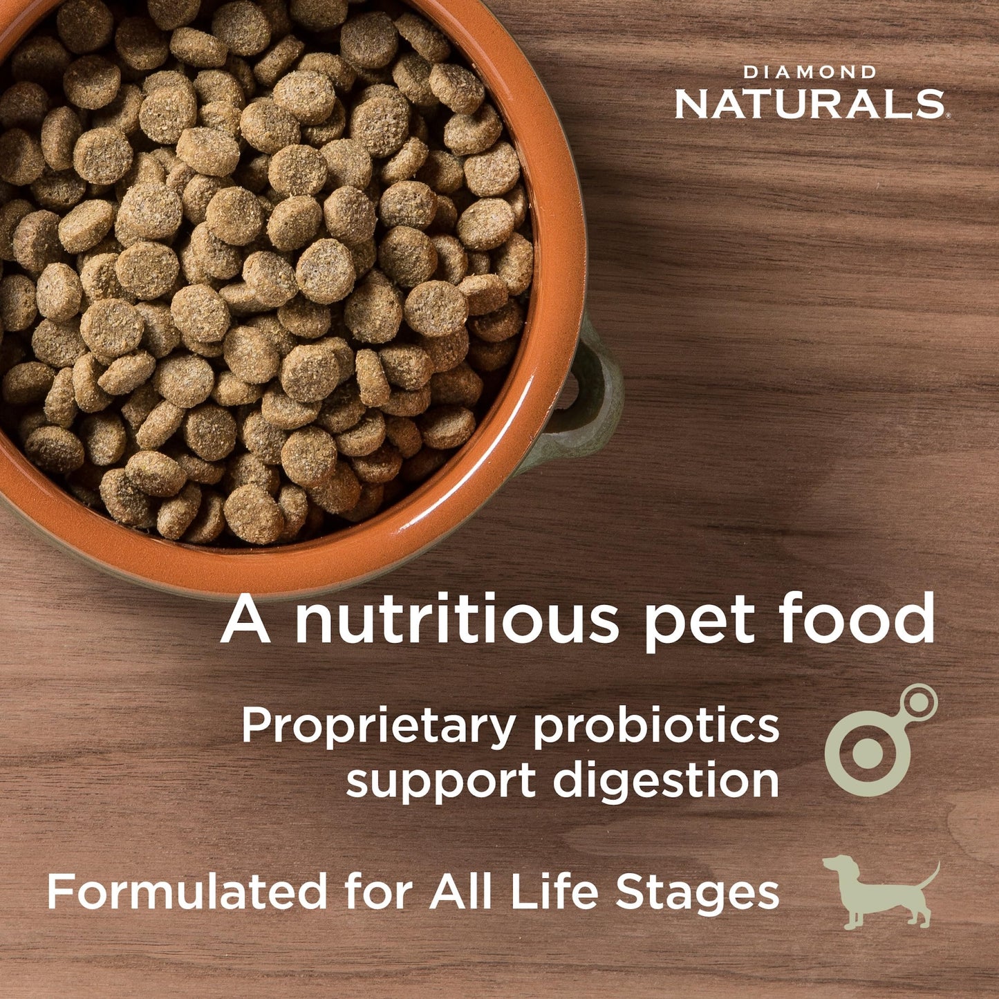Diamond Naturals Skin & Coat Real Salmon and Potato Recipe Dry Dog Food with Quality Protein, Omega Fatty Acids, Probiotics and Essential Nutrients to Promote Healthy Skin and Coat 30lb