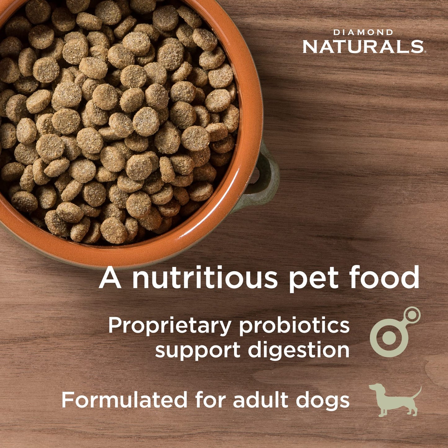 Diamond Naturals Skin & Coat Real Salmon and Potato Recipe Dry Dog Food with Quality Protein, Omega Fatty Acids, Probiotics and Essential Nutrients to Promote Healthy Skin and Coat 30lb