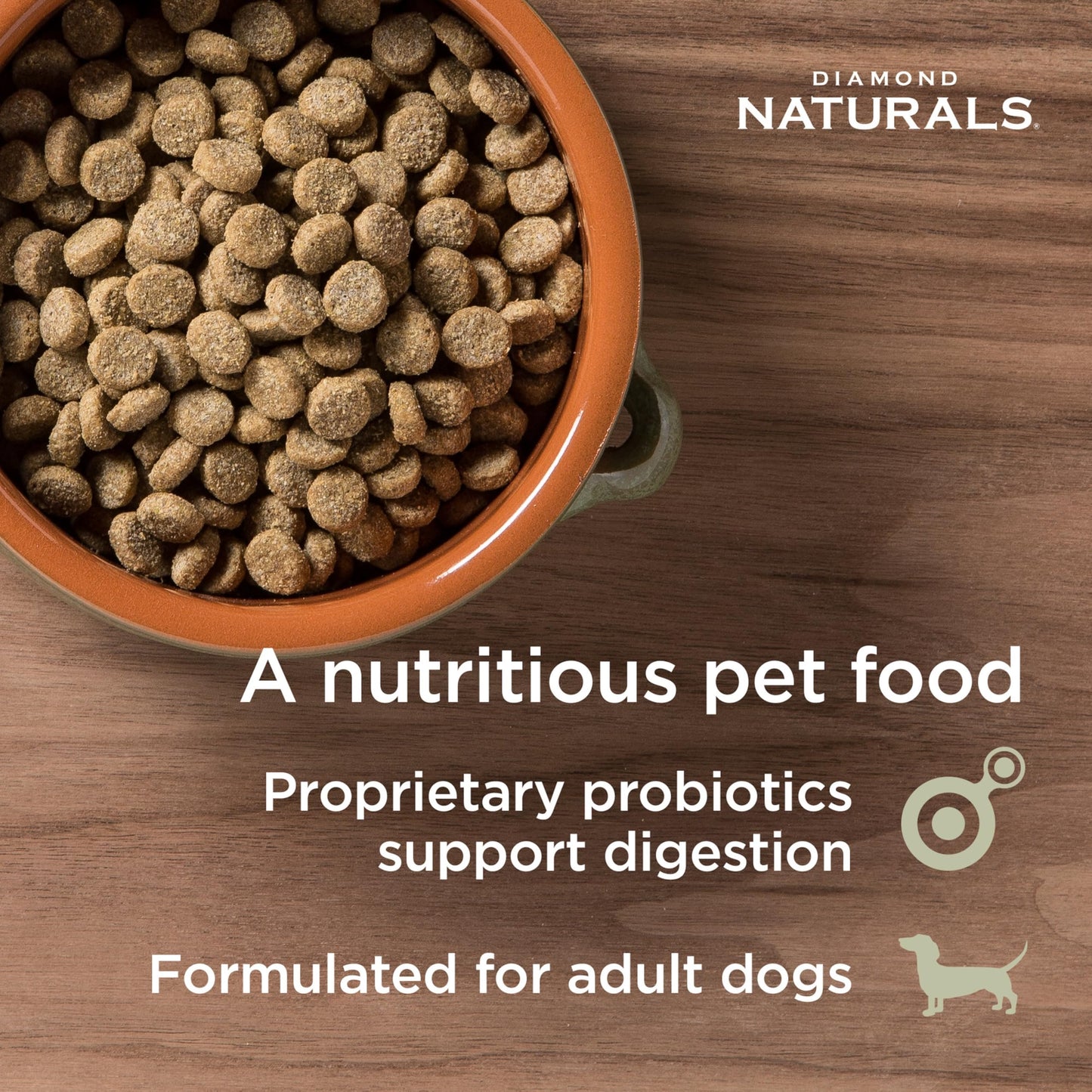 Diamond Naturals Skin & Coat Real Salmon and Potato Recipe Dry Dog Food with Quality Protein, Omega Fatty Acids, Probiotics and Essential Nutrients to Promote Healthy Skin and Coat 30lb