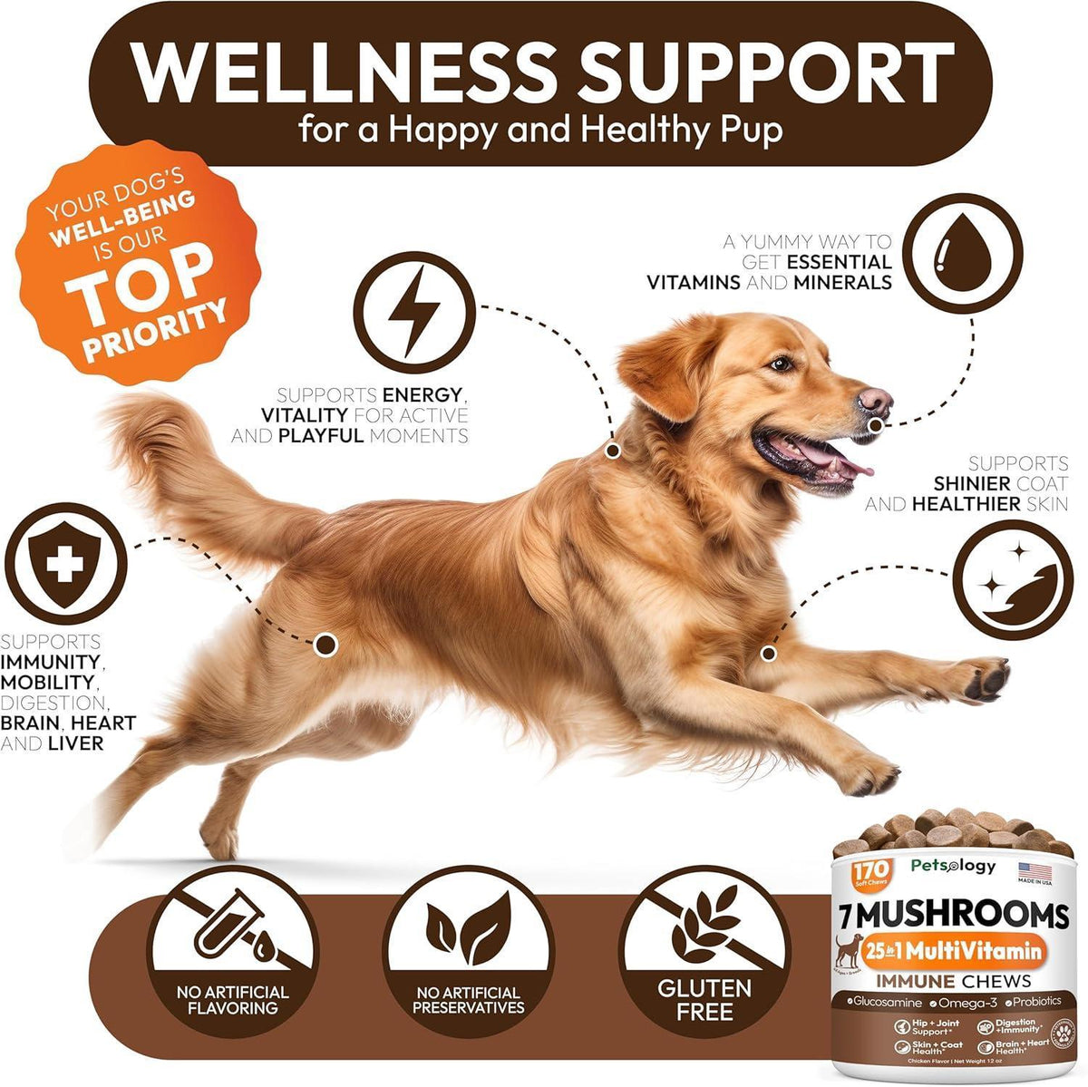 Mushroom Chews for Dogs 340 Count 2-Pack Turkey Tail Lion's Mane Shiitake & Reishi