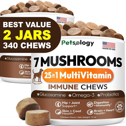 Mushroom Chews for Dogs 340 Count 2-Pack Turkey Tail Lion's Mane Shiitake & Reishi